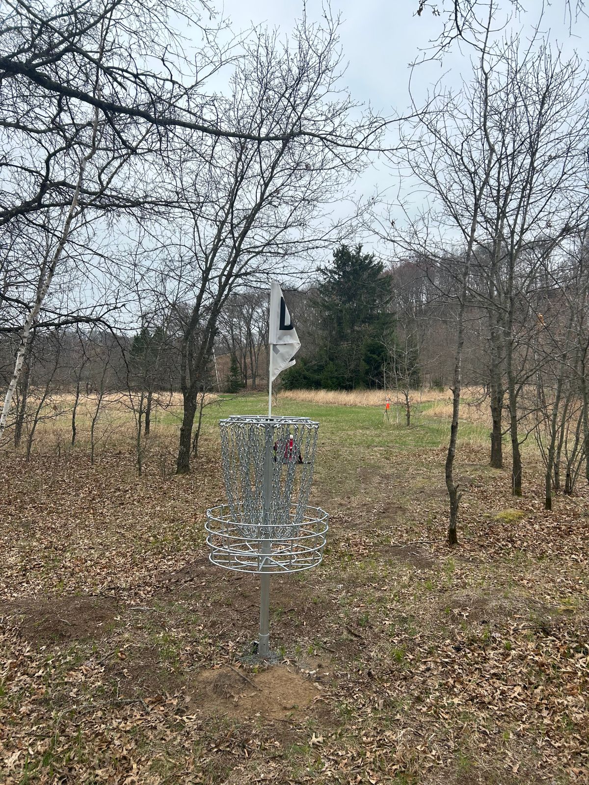 Hole 6 basket