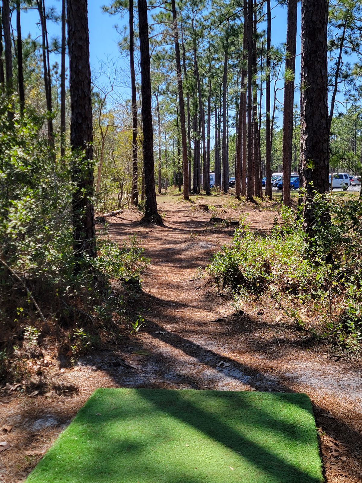 Hole 9/19 tee