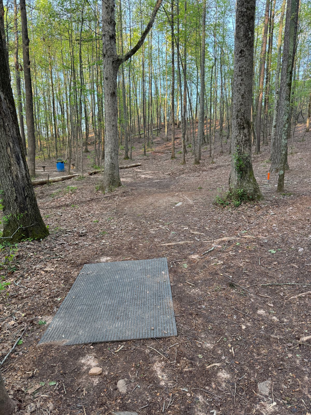 Hole 7