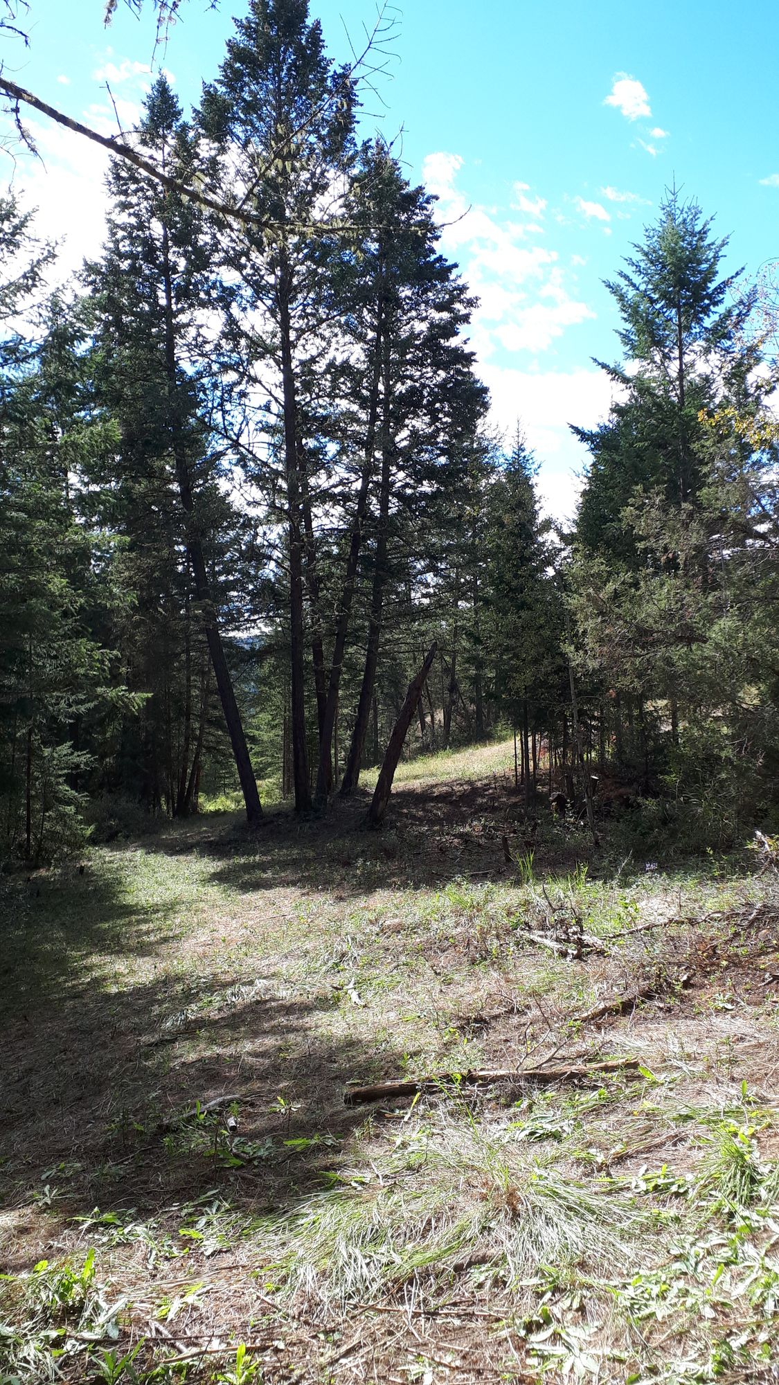 Landing zone hole 16, par 4.