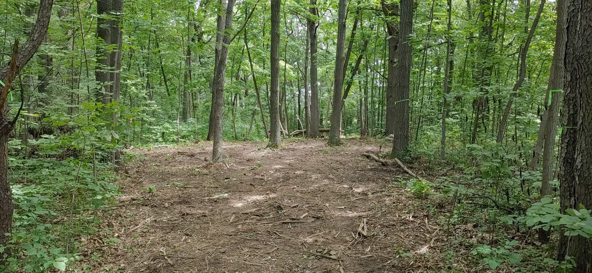 Hole 9 from the tee