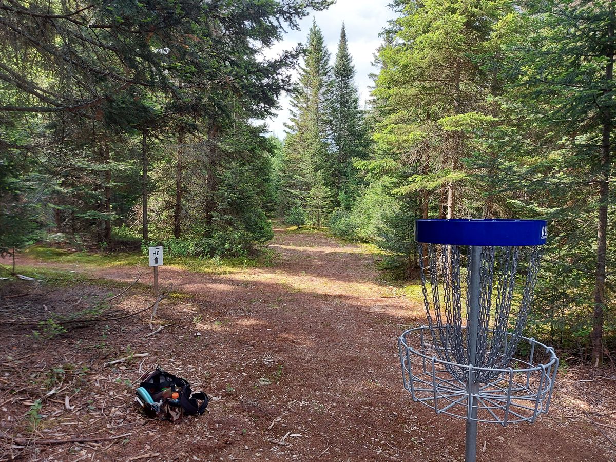 Reverse back up the fairway on hole 5. 🍁🌲🍁🌲🍁🌲
