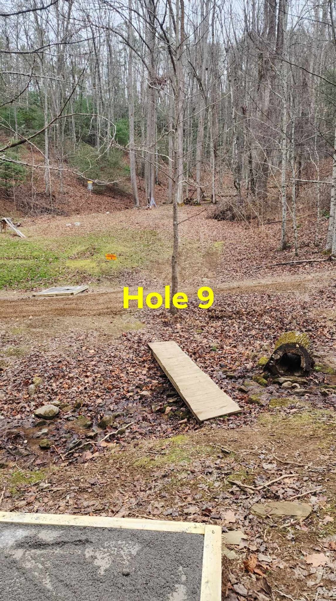 Hole 9 in the Gold A position gives you a chance
From the B position you have a double mando between two trees to make it exciting
