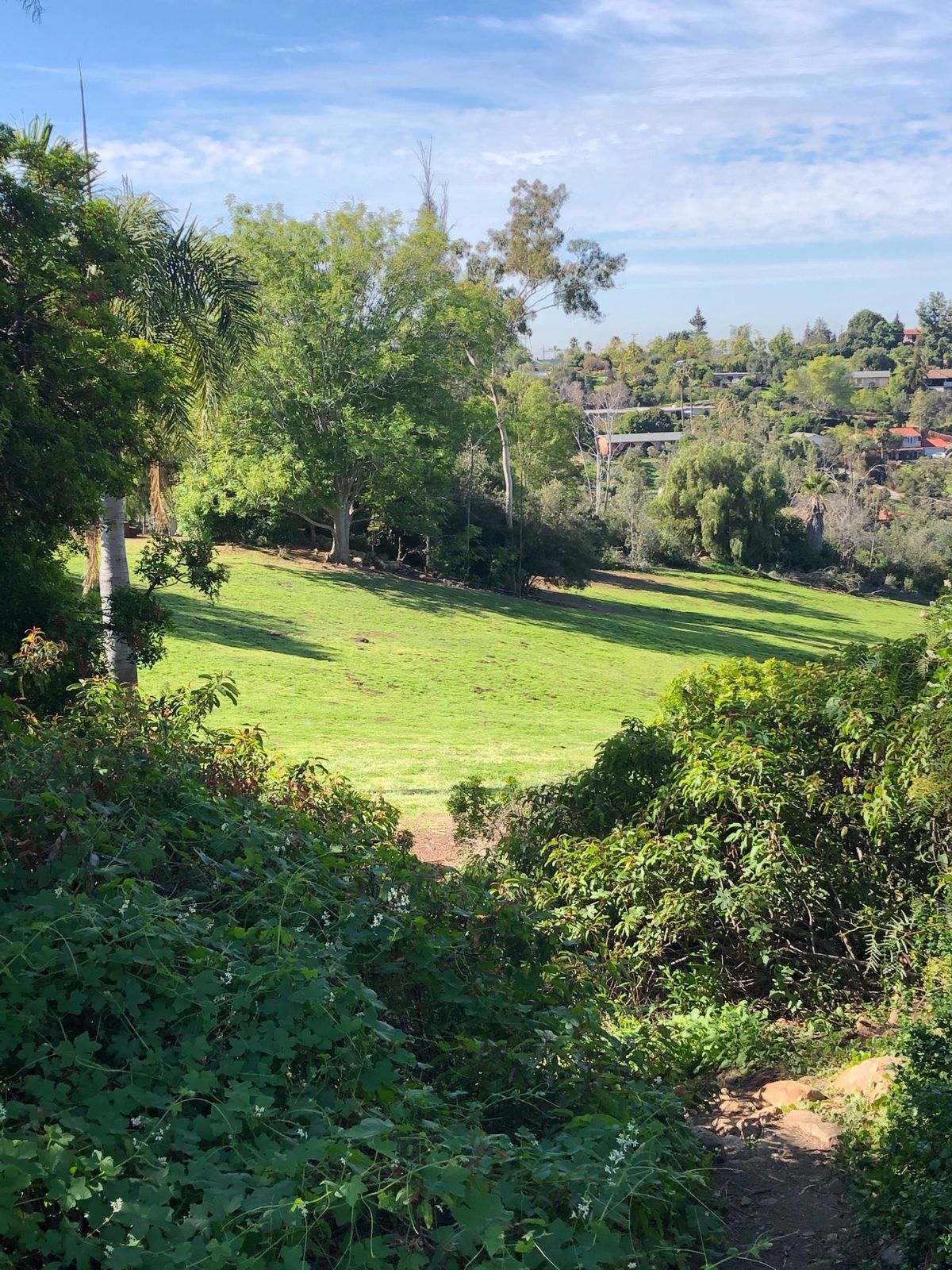 Hole 8