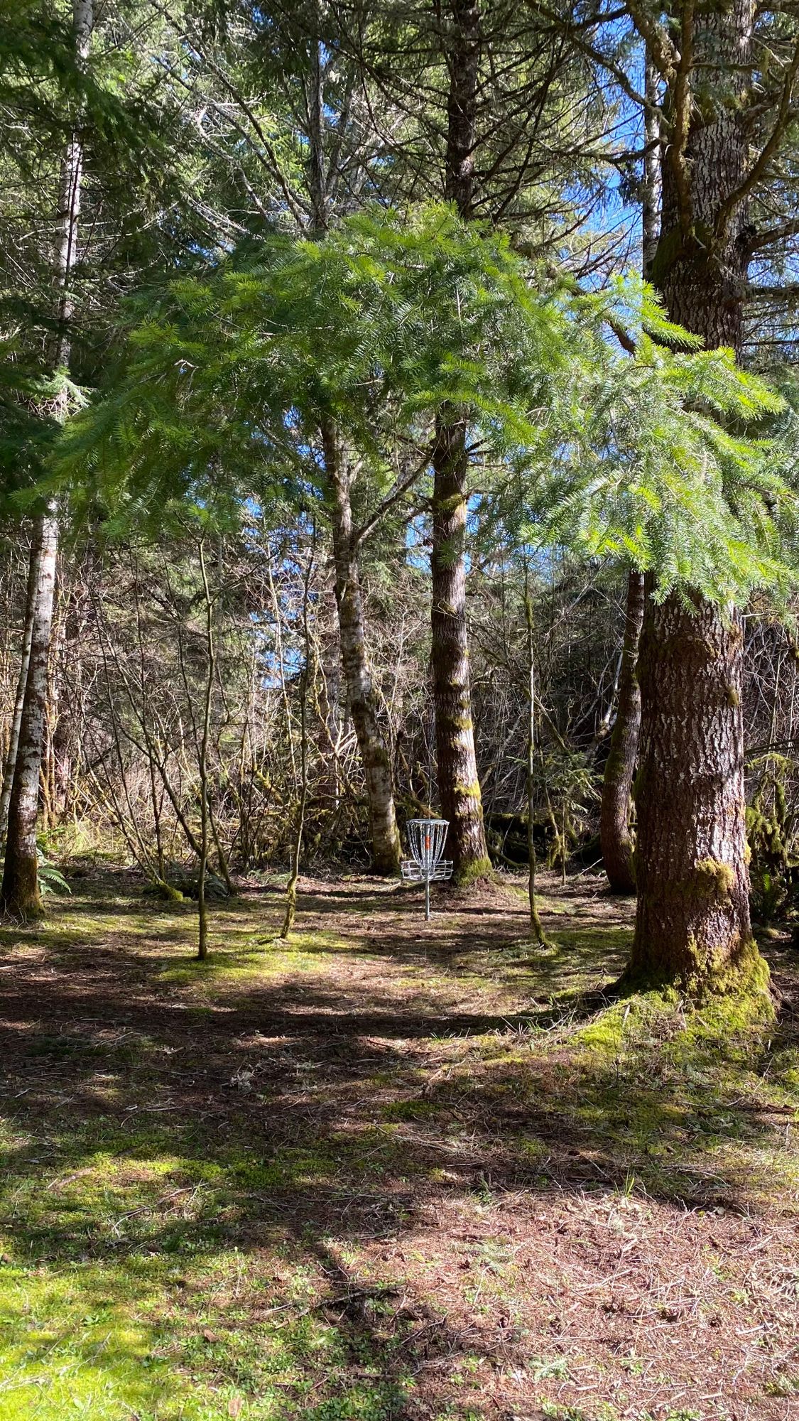Hole 11