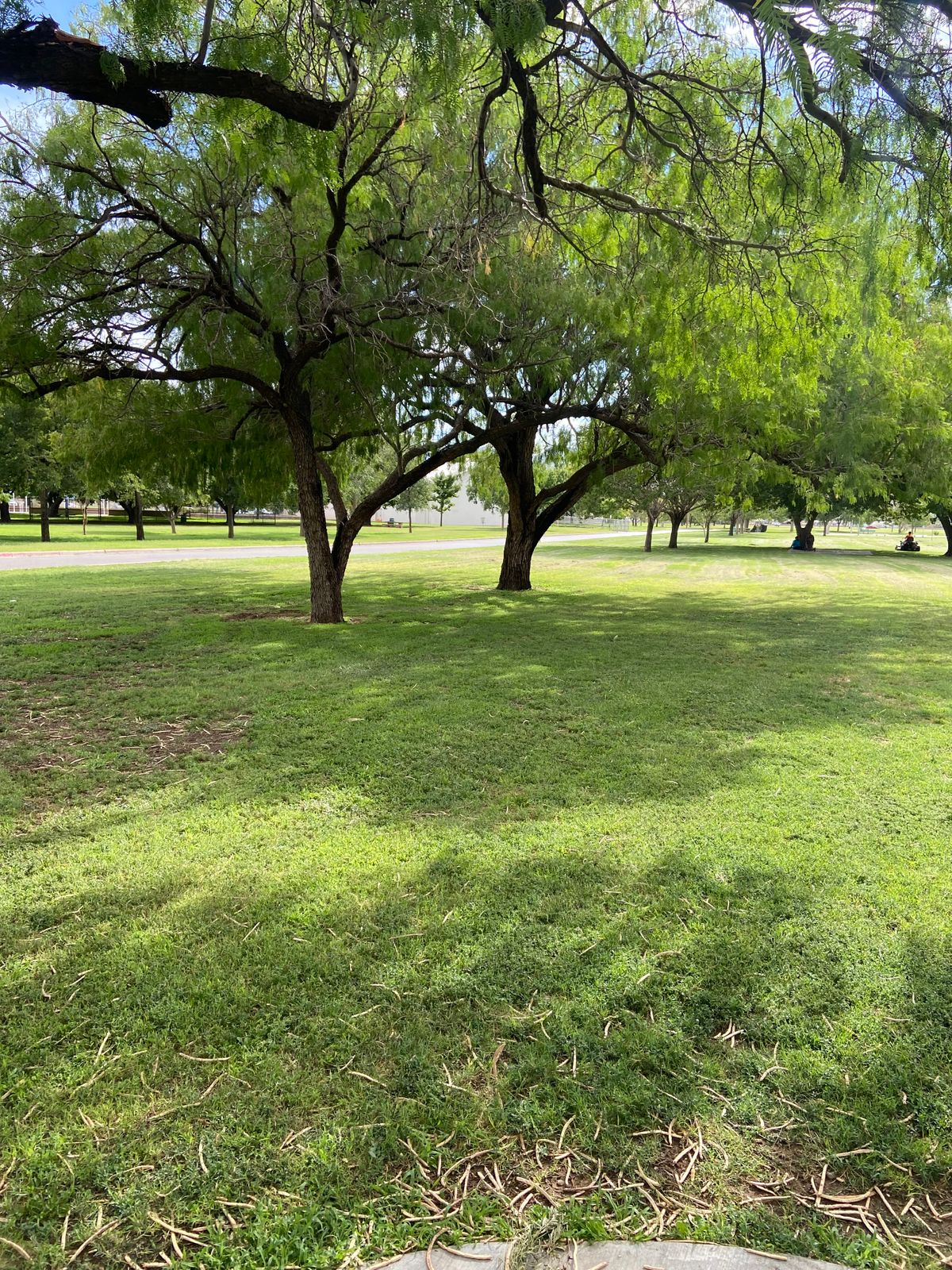 Hole 14