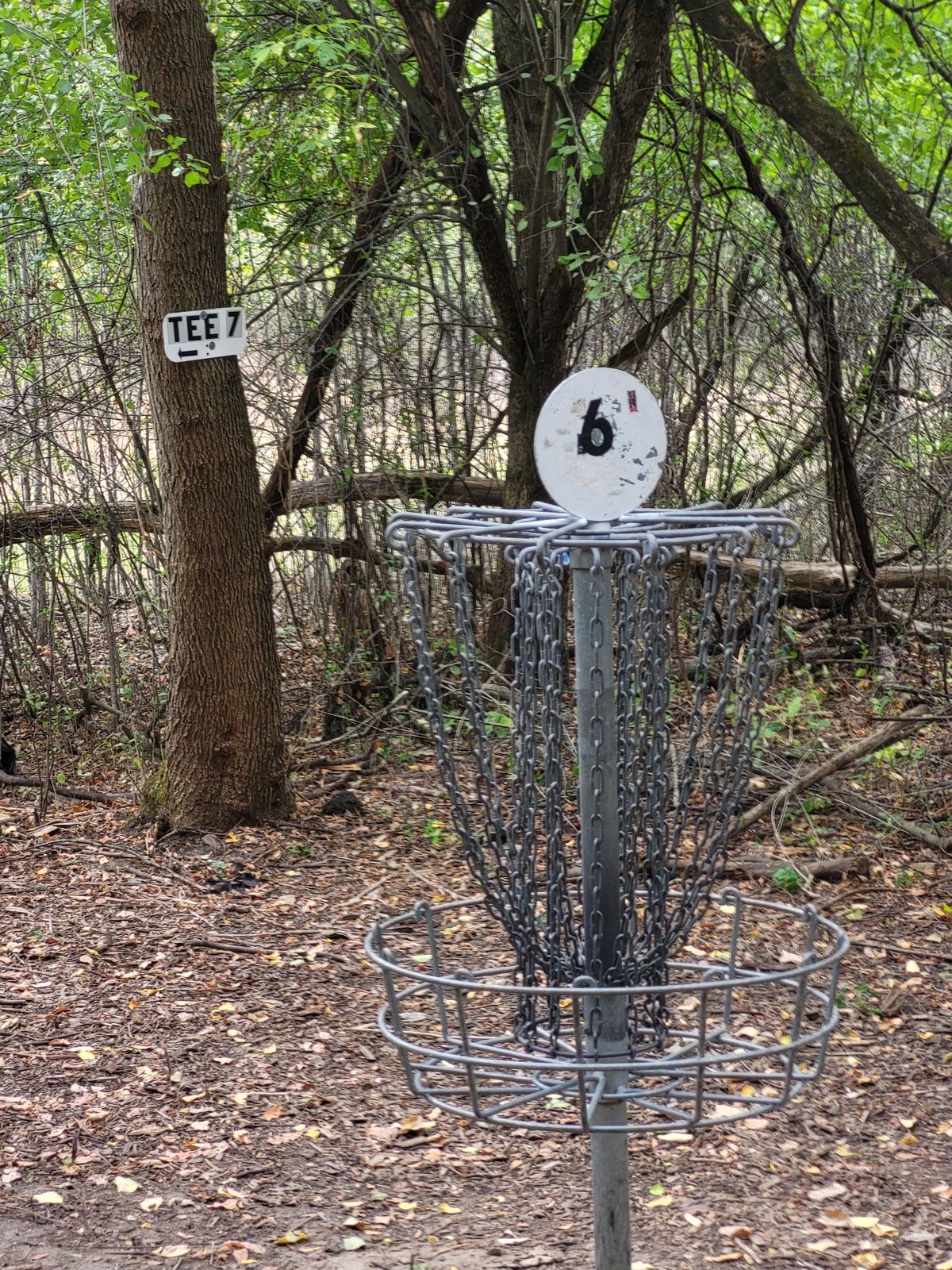 Landing zone hole 6