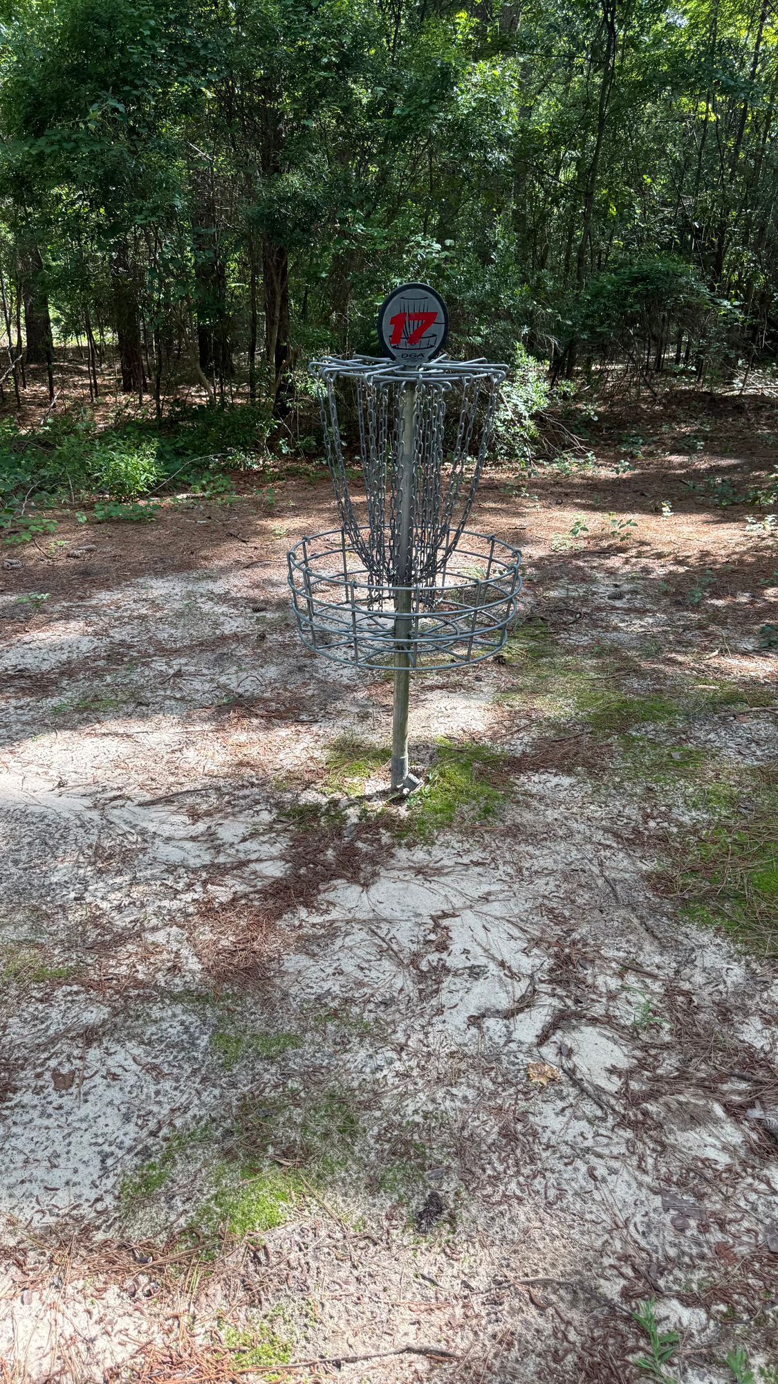 Hole 17 Basket