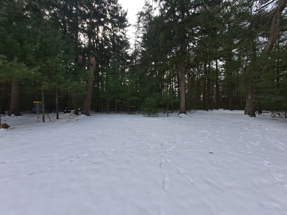 Hole 1 split