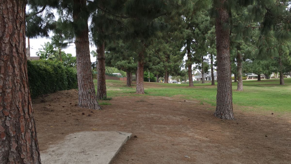 Hole 6