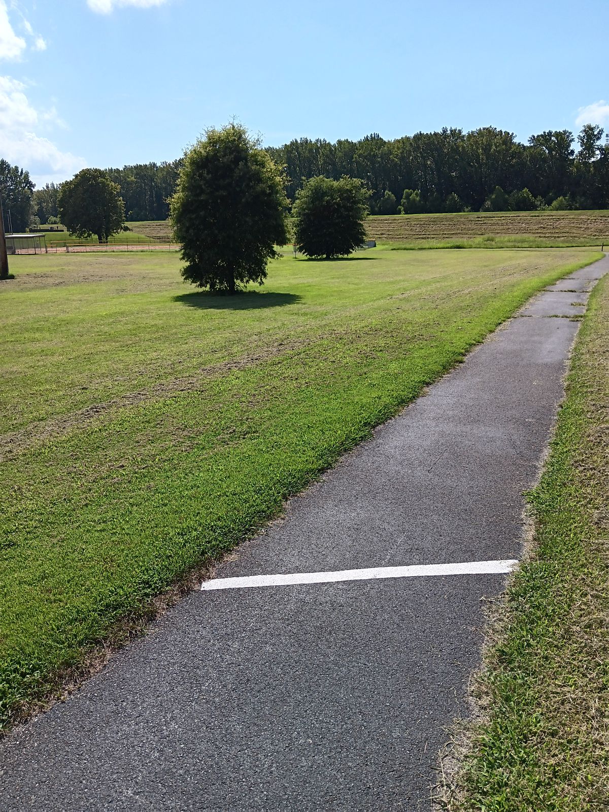 Hole 6 Tee