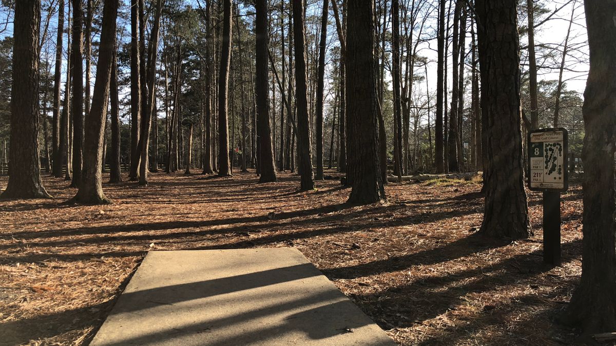 Hole 8