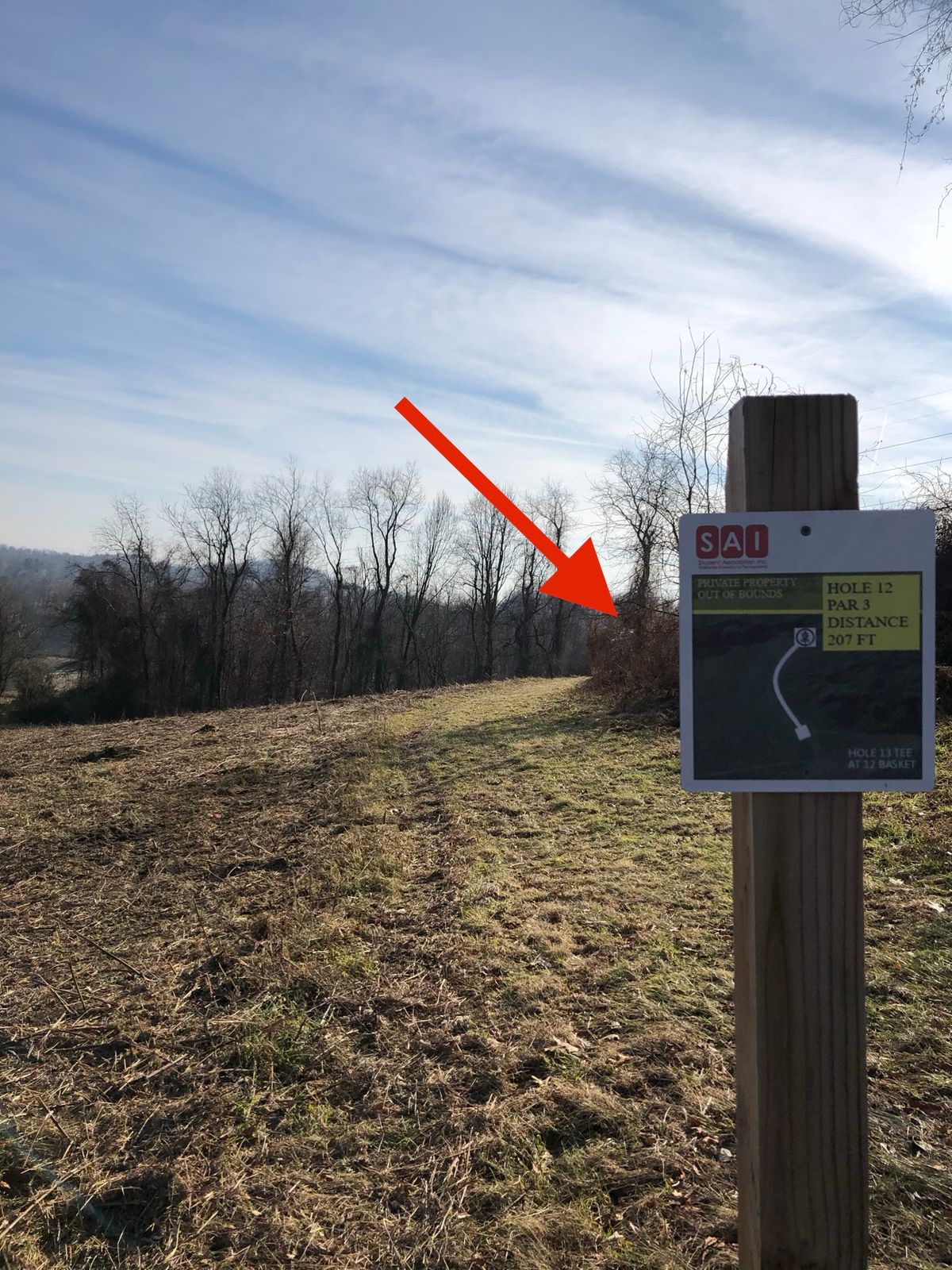 Hole 12 tee