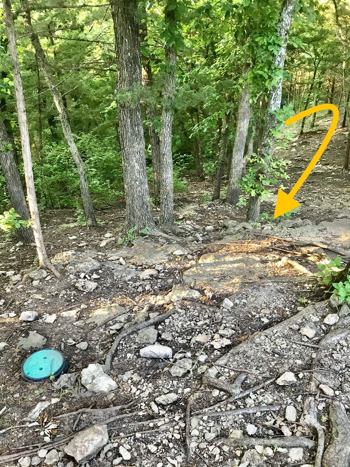 Hole 2 Basket to Tee (Short Position)