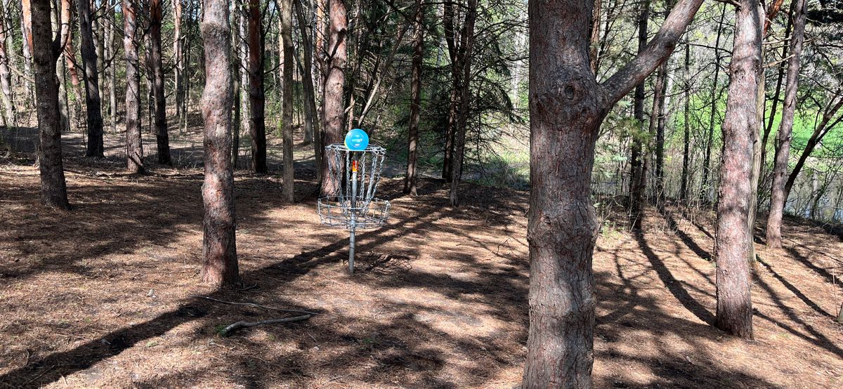 Hole 7 🥏