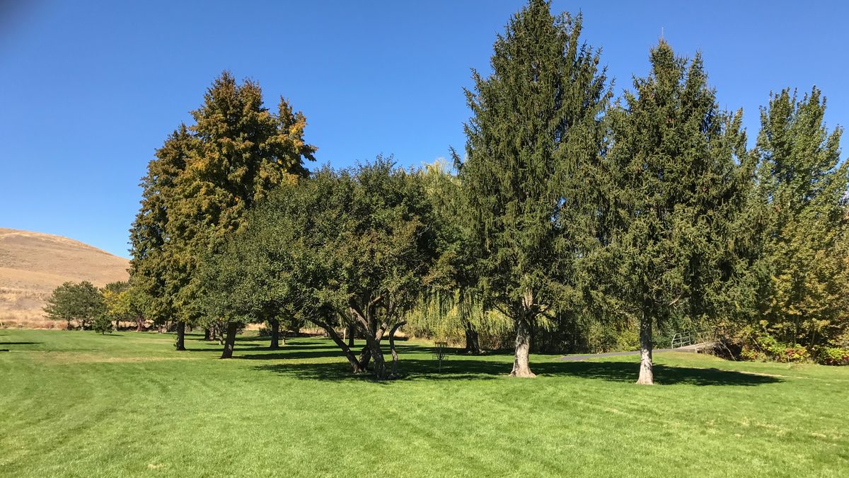 Hole 9