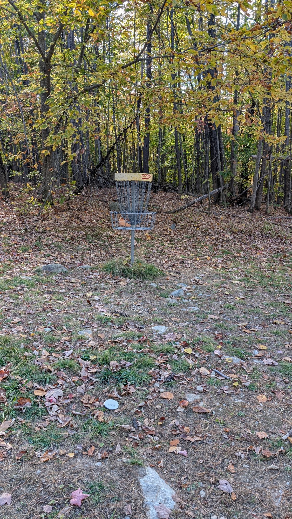 Hole 7,  15' left of target