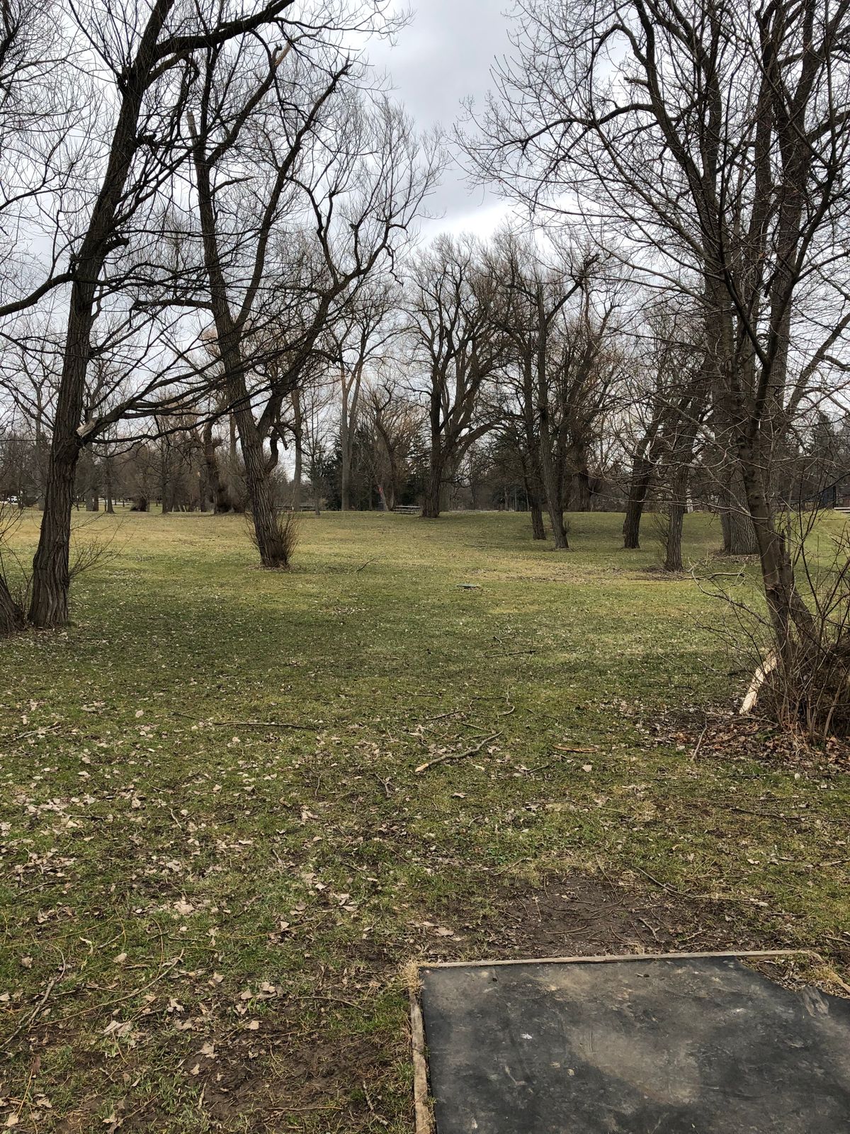 13th tee