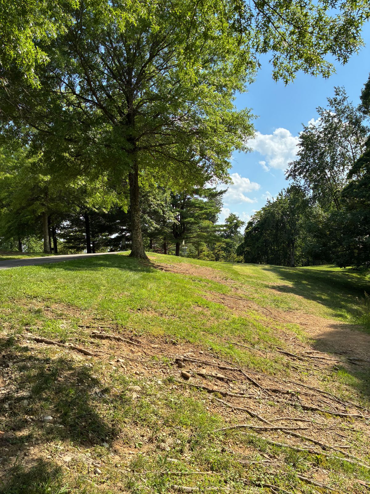 #14 fairway toward baskets.