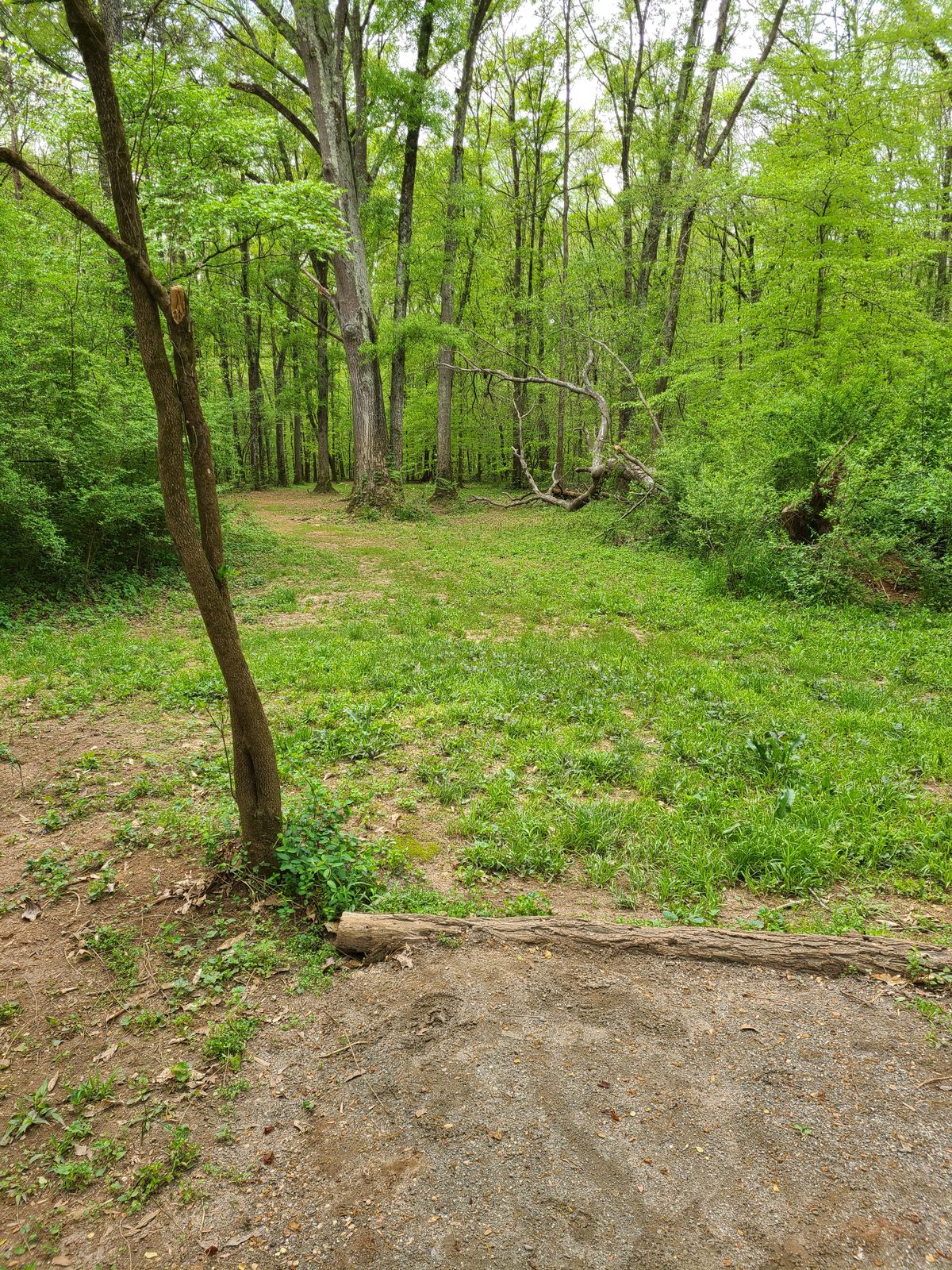 Hole 10 from tee