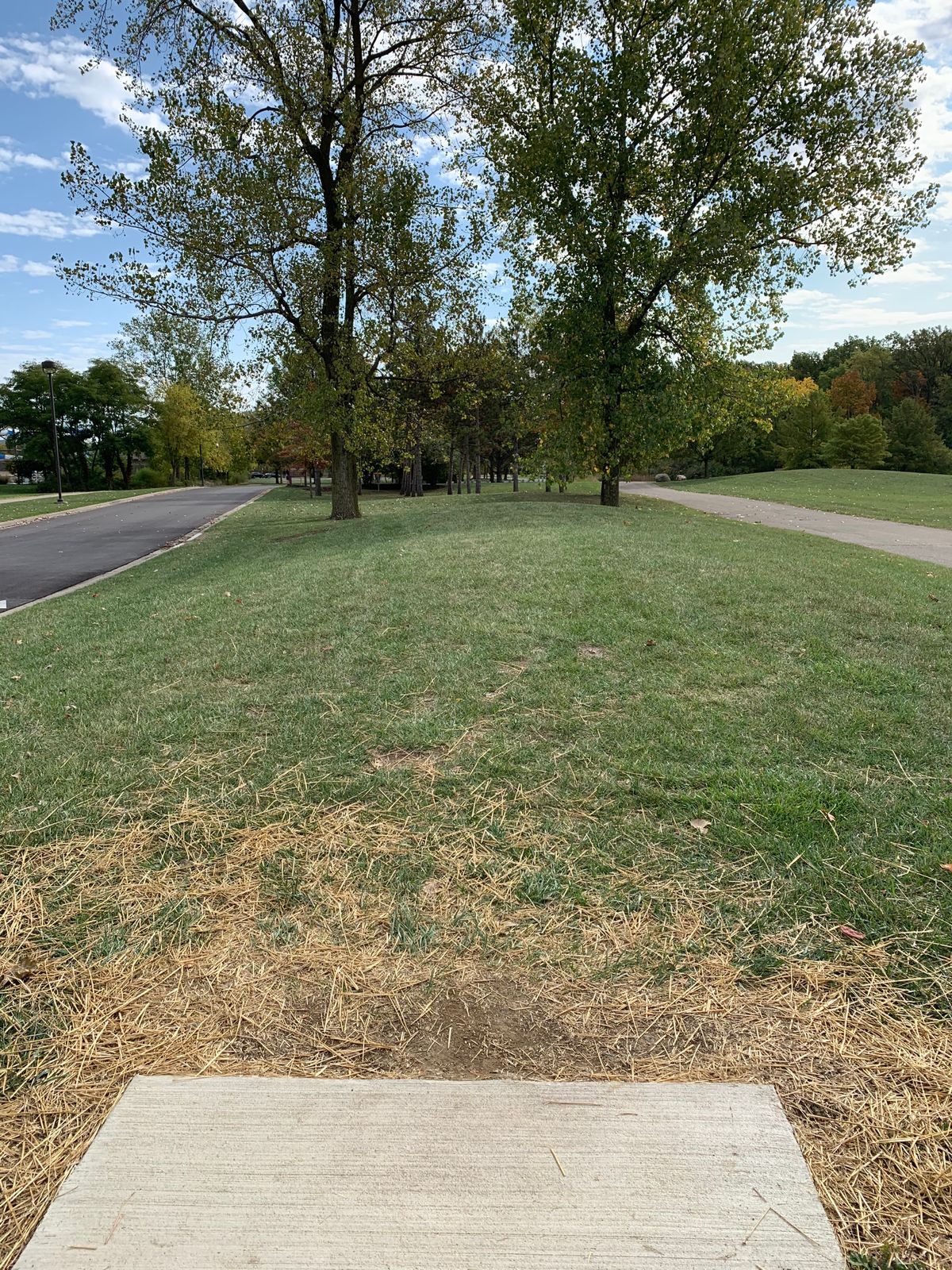 Hole 3 Tee