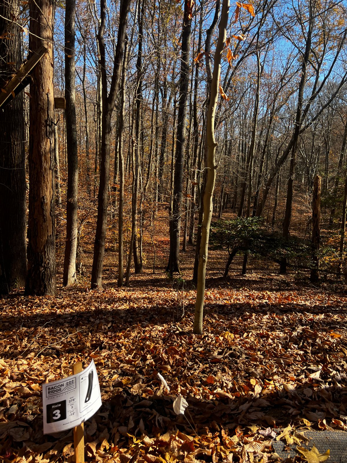 Hole 3 over a hill and into a clearing