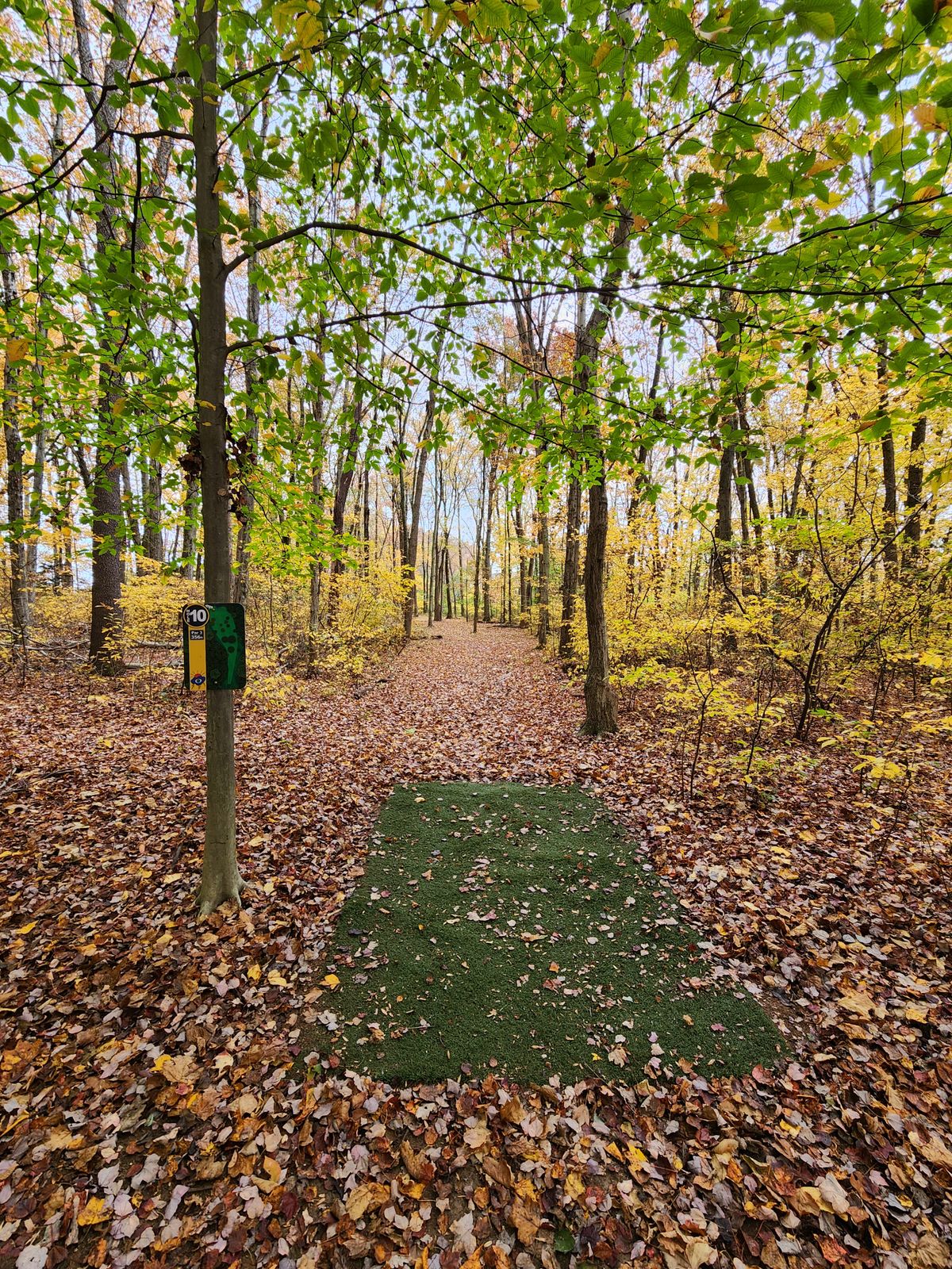 Hole 10 tee pad