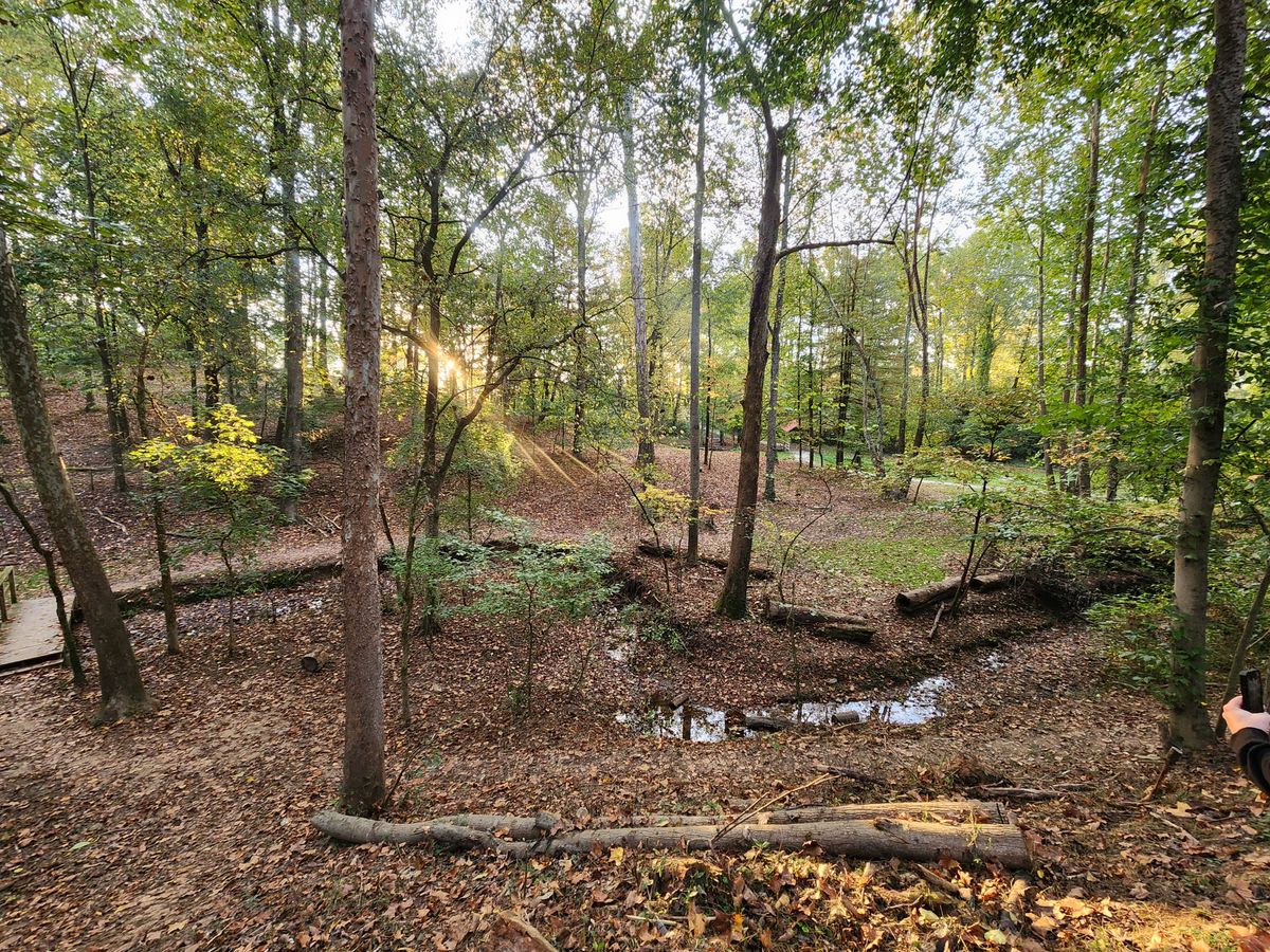 Hole 11