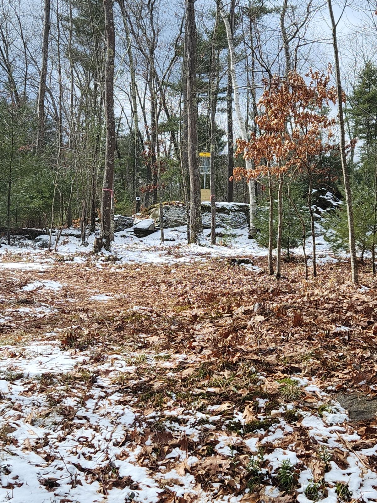 17 basket from short tee fairway