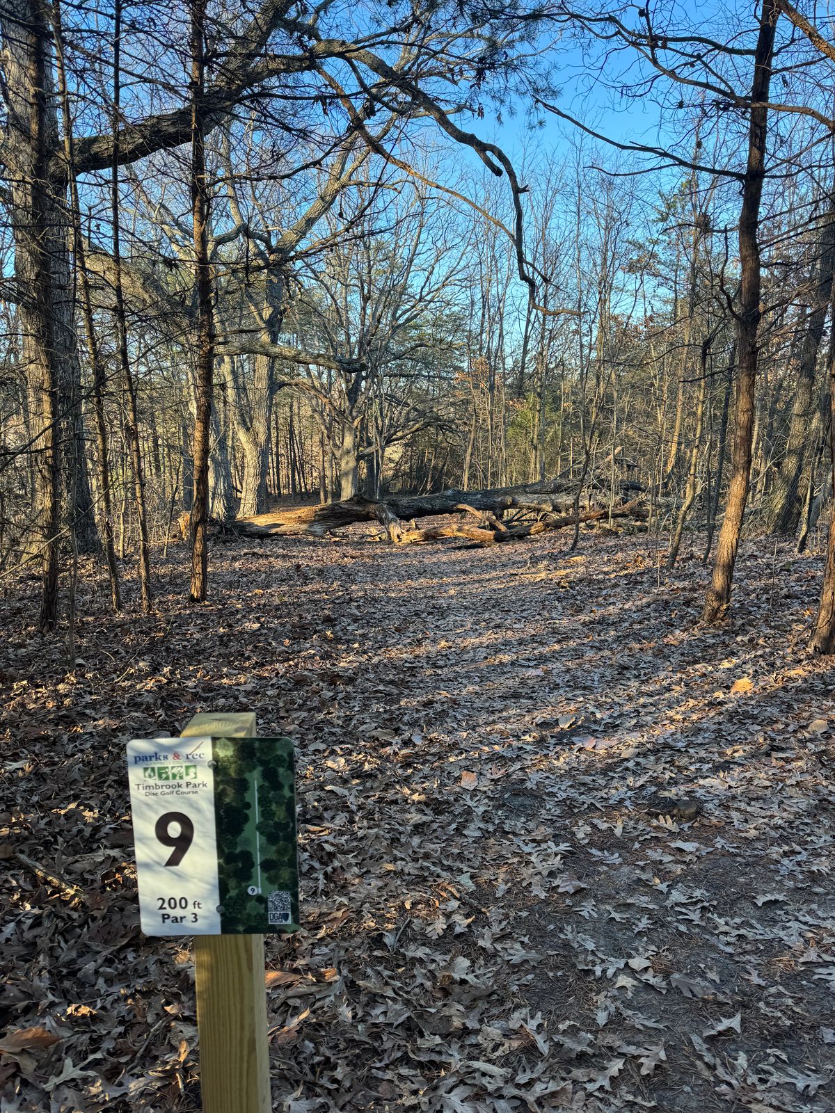 Tree down on hole 9 as of 12/12/23. Still playable