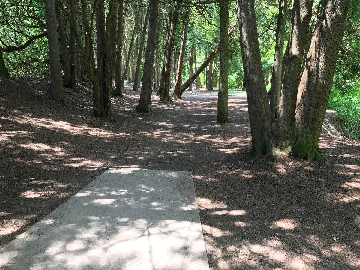 Hole #1
