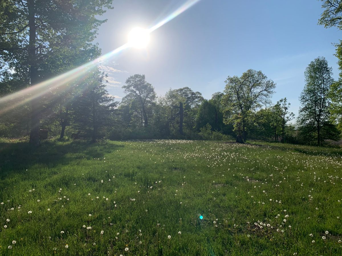 Hole 10 fairway and basket