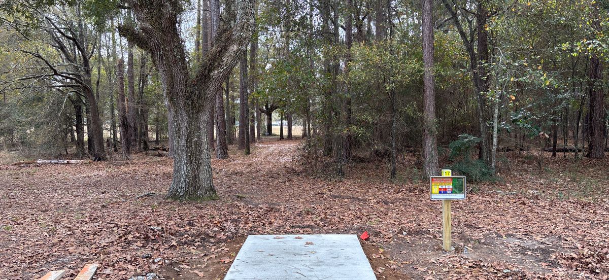 Tee 17