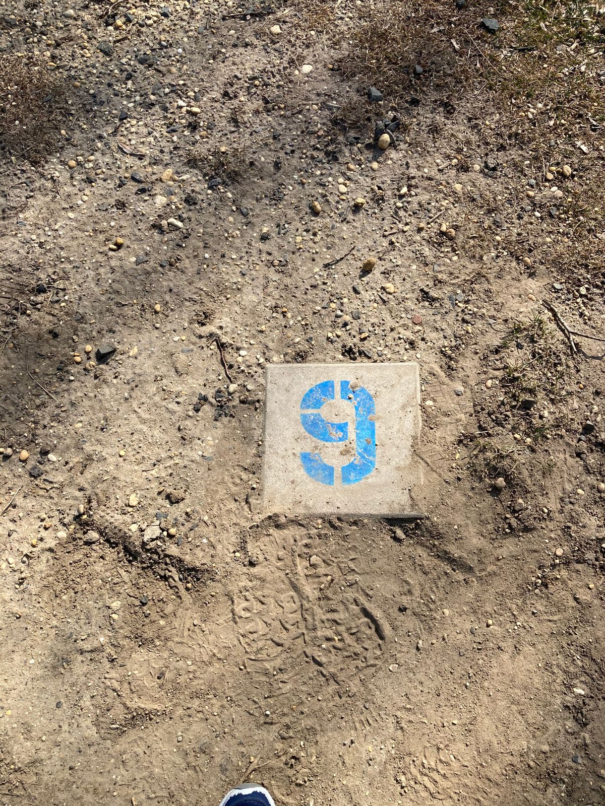 Tee 9