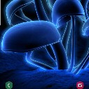 User avatar image