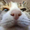User avatar image