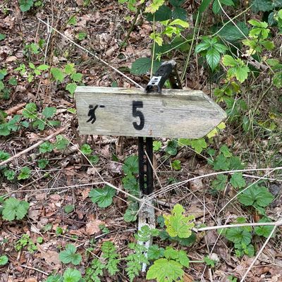 Direction sign to hole 5