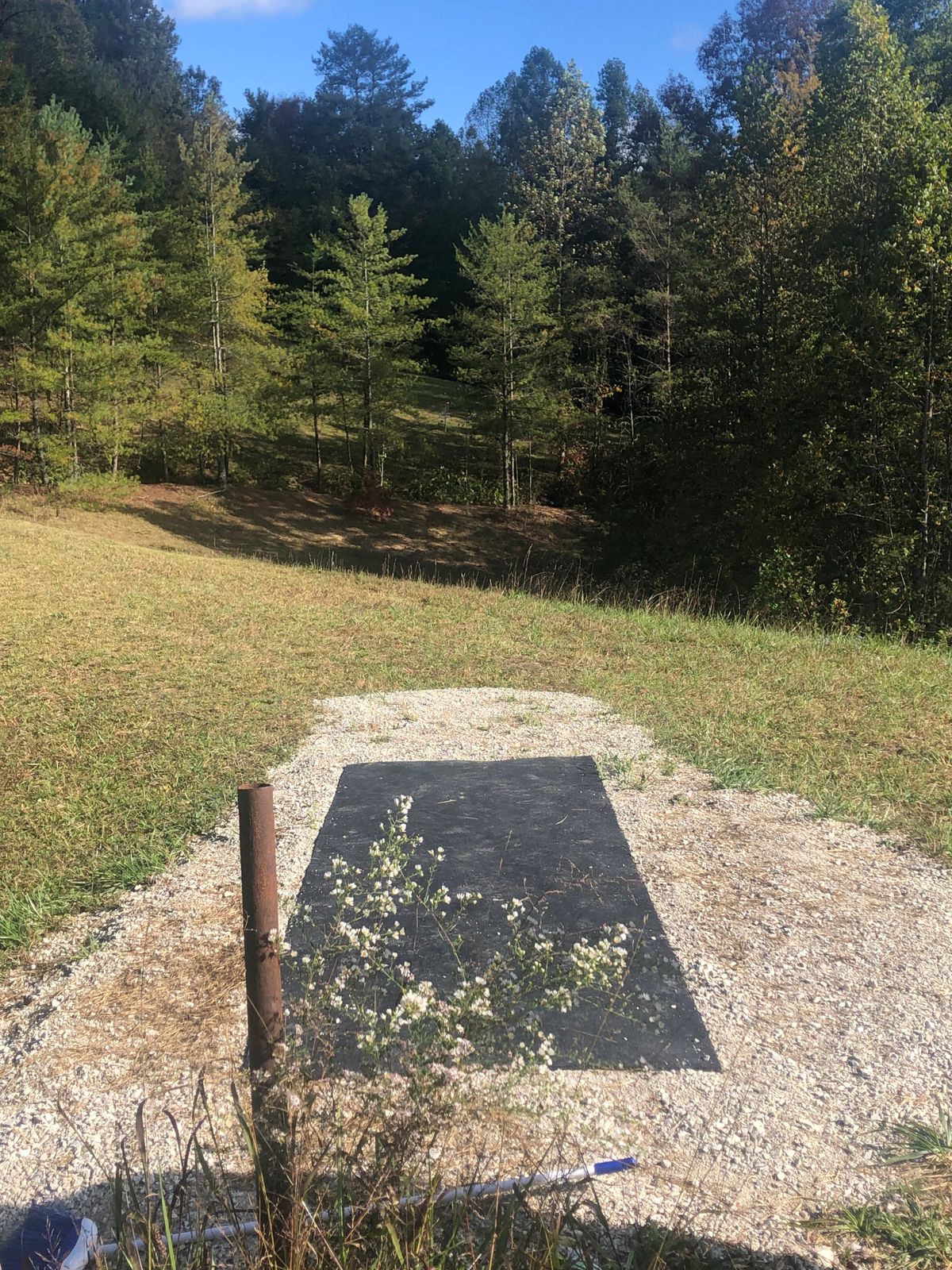 Hole 2 Tee pad. Plays to basket just behind the trees.