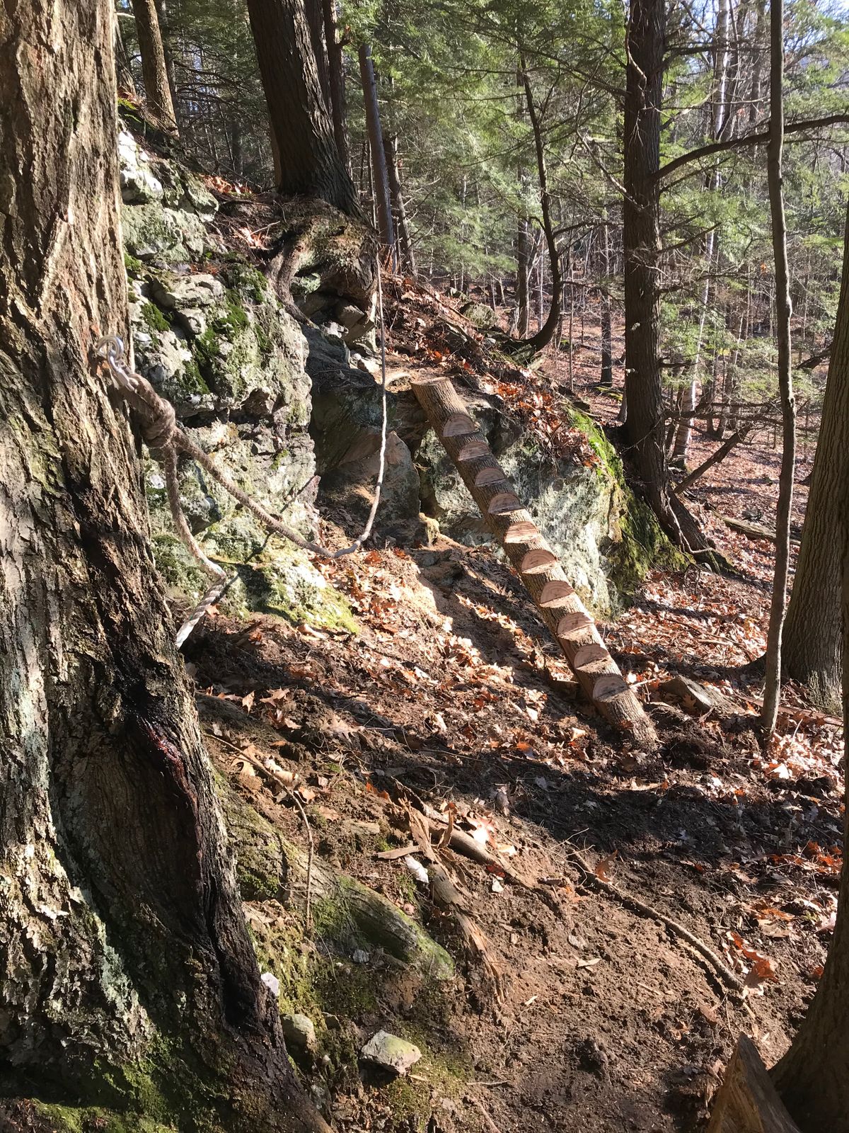 New stairs between holes 10 & 11.