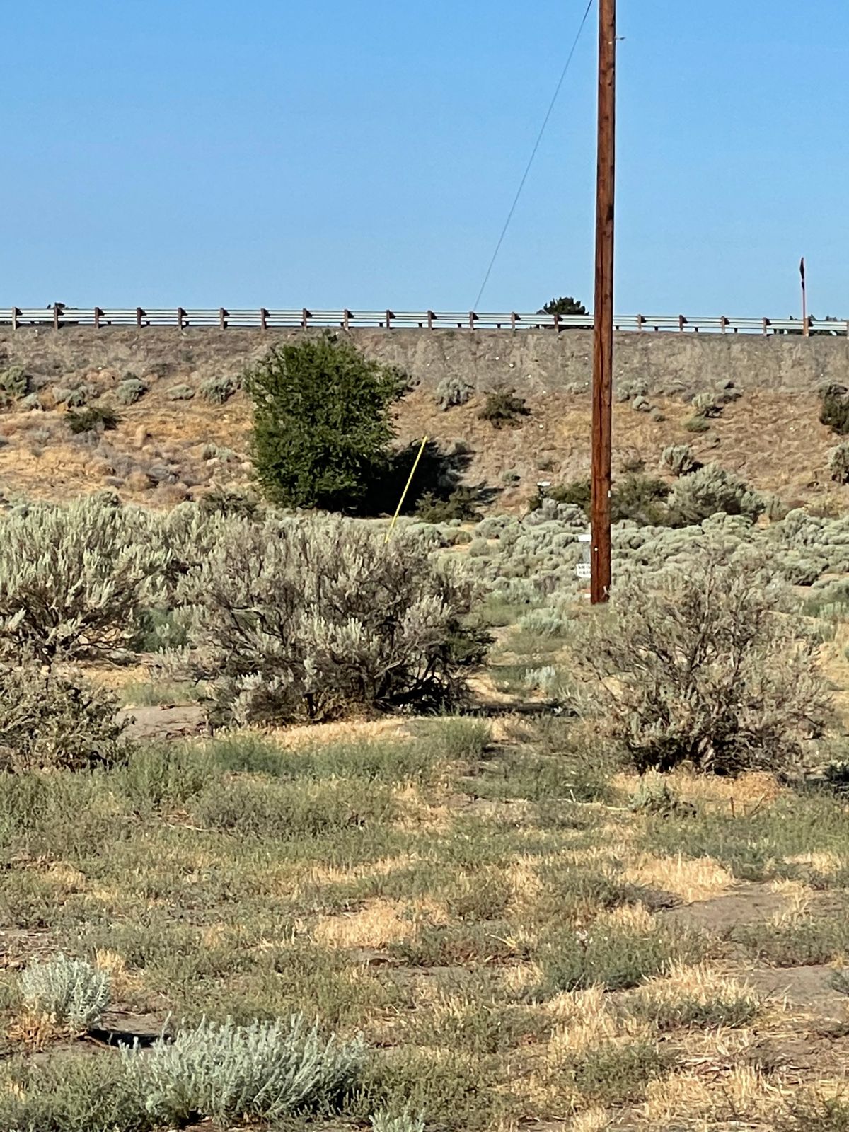 Hole 7 basket hiding behind the telephone pole