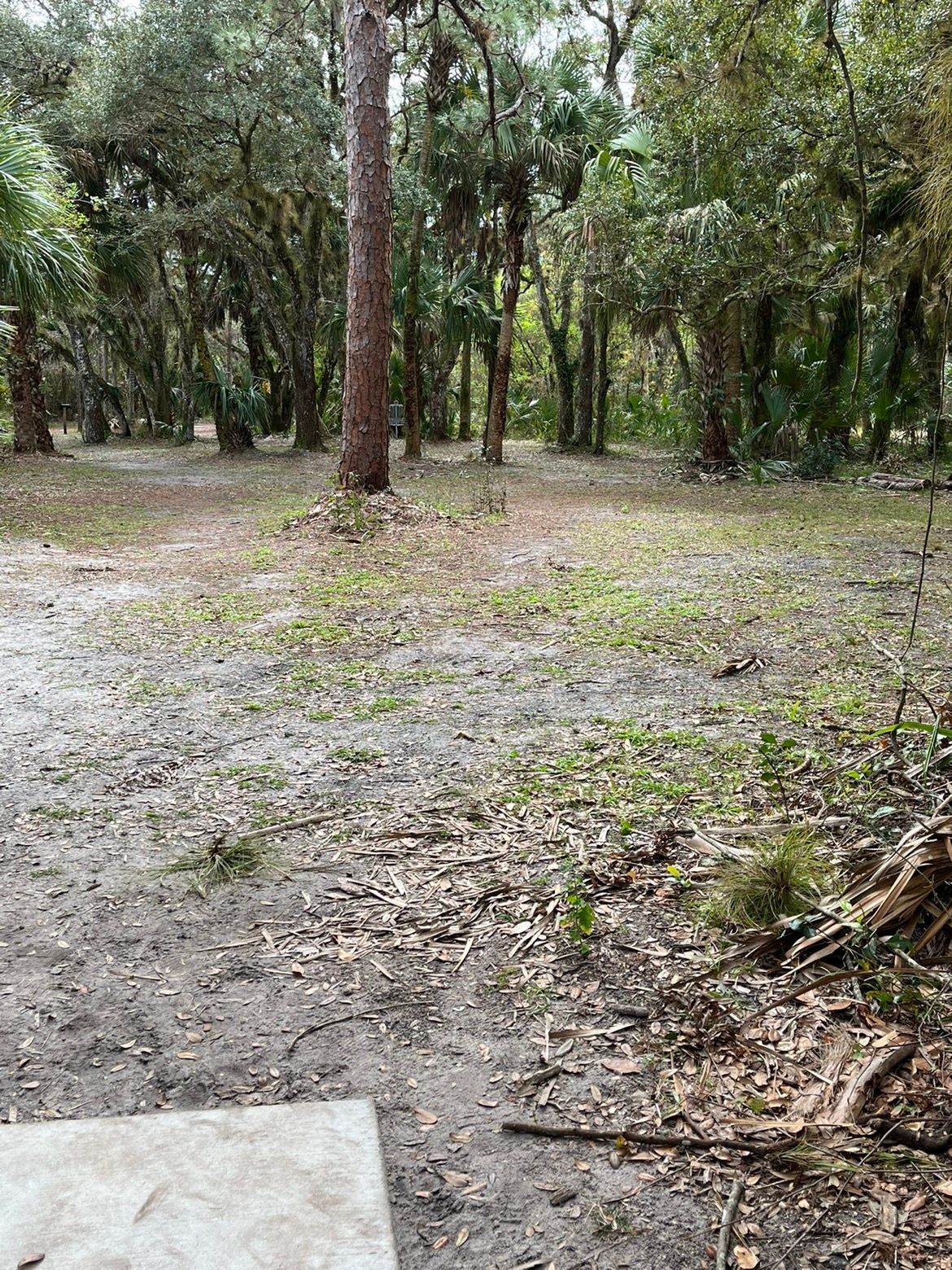 Hole 15