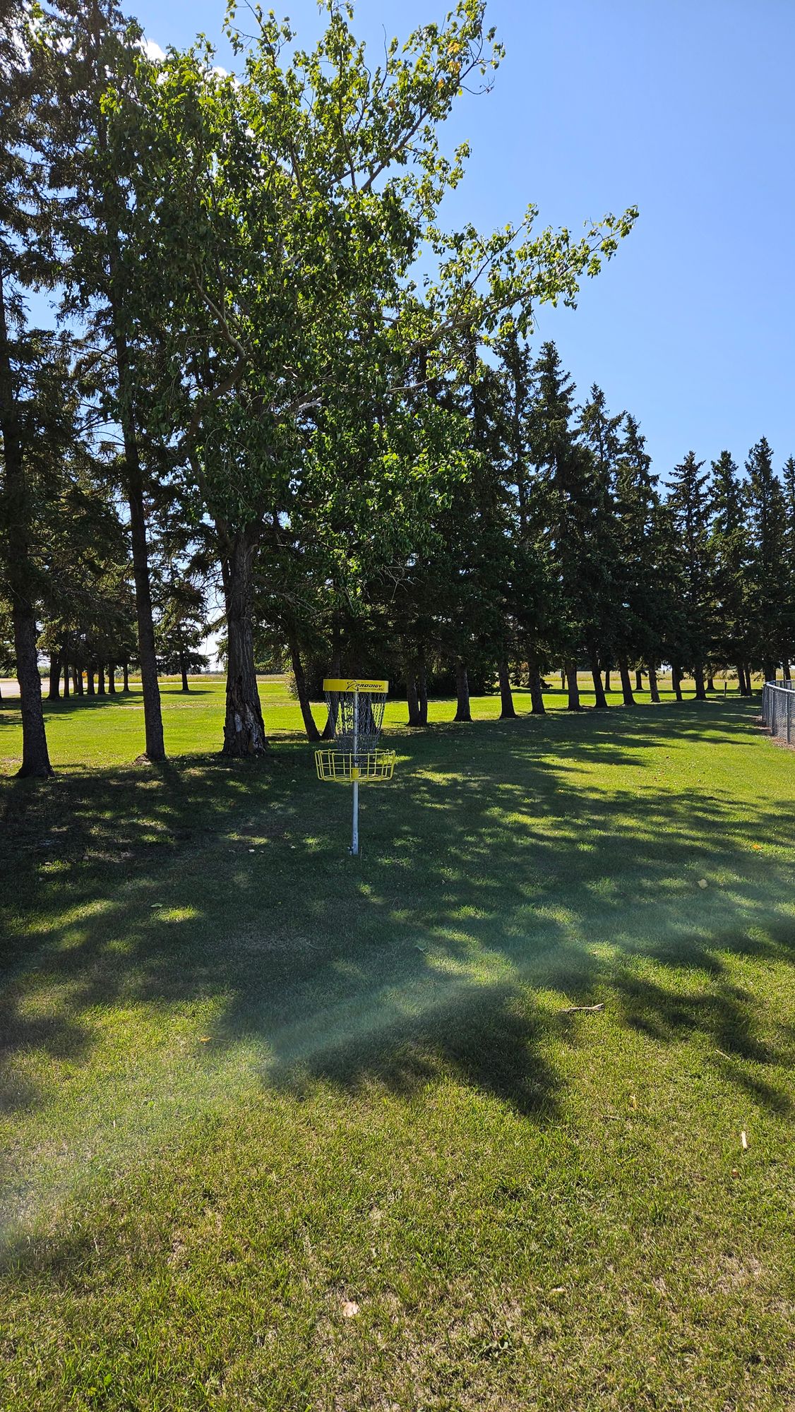 Looking back at 5 basket towards fairway