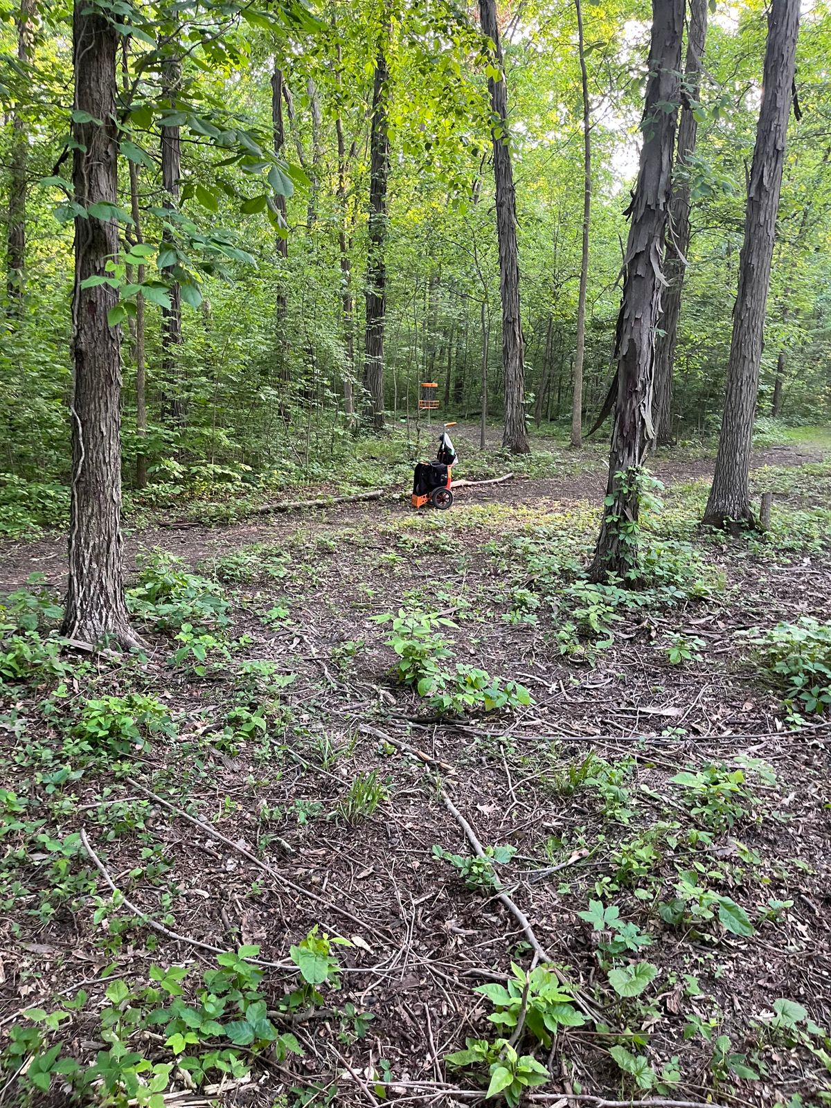Hole 2