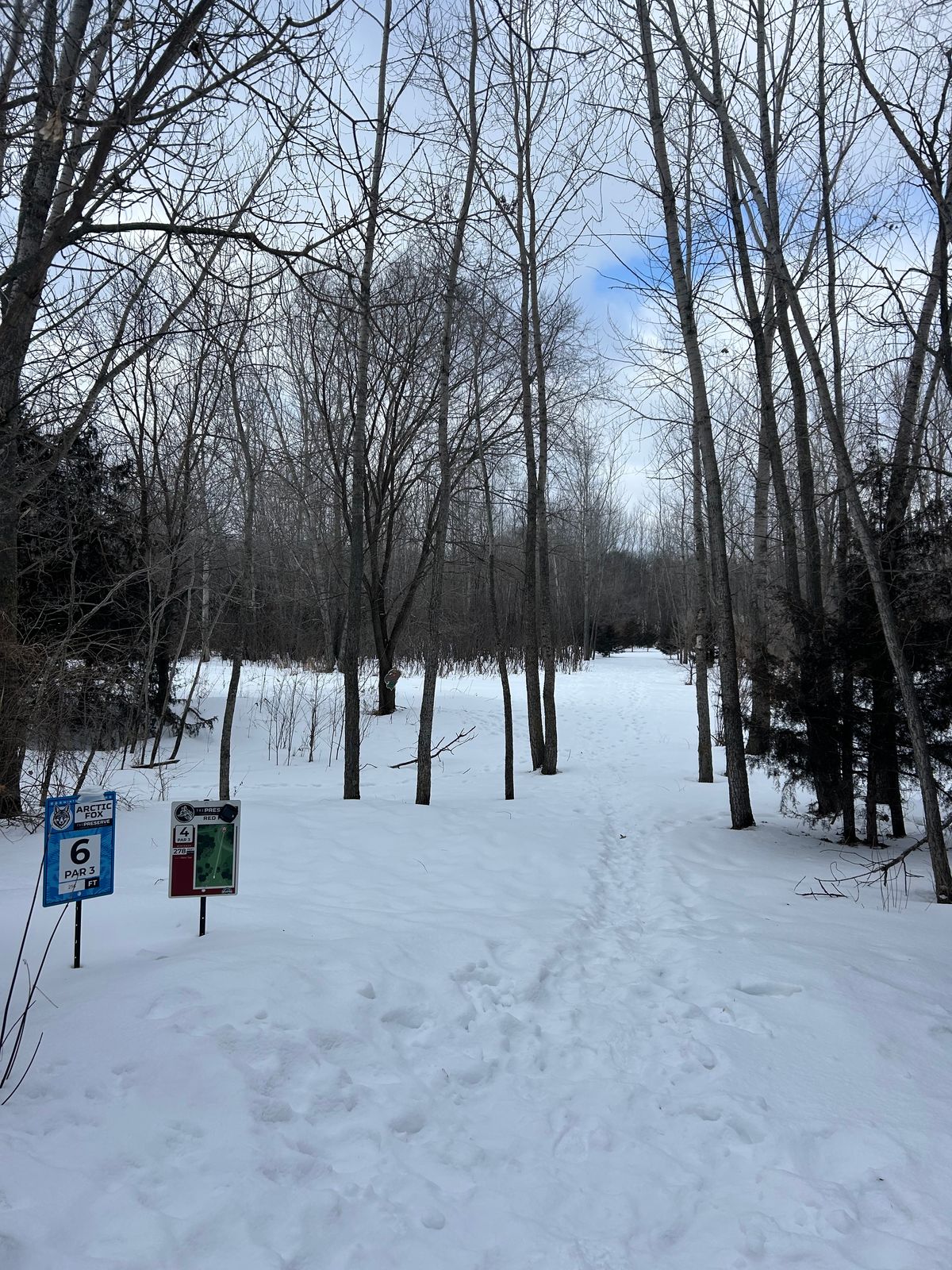 Hole 6 teepad - RF normal hole 6