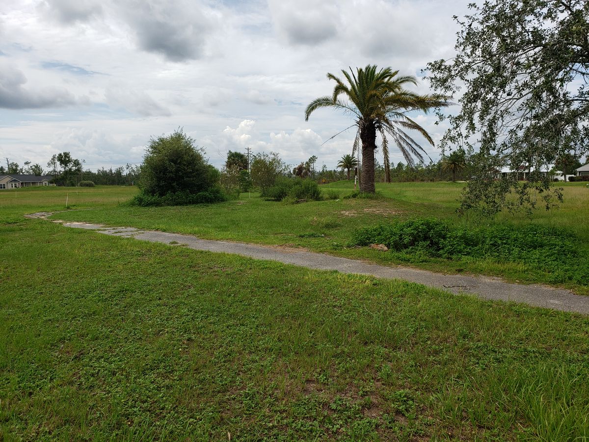 Middle bushes are teepad