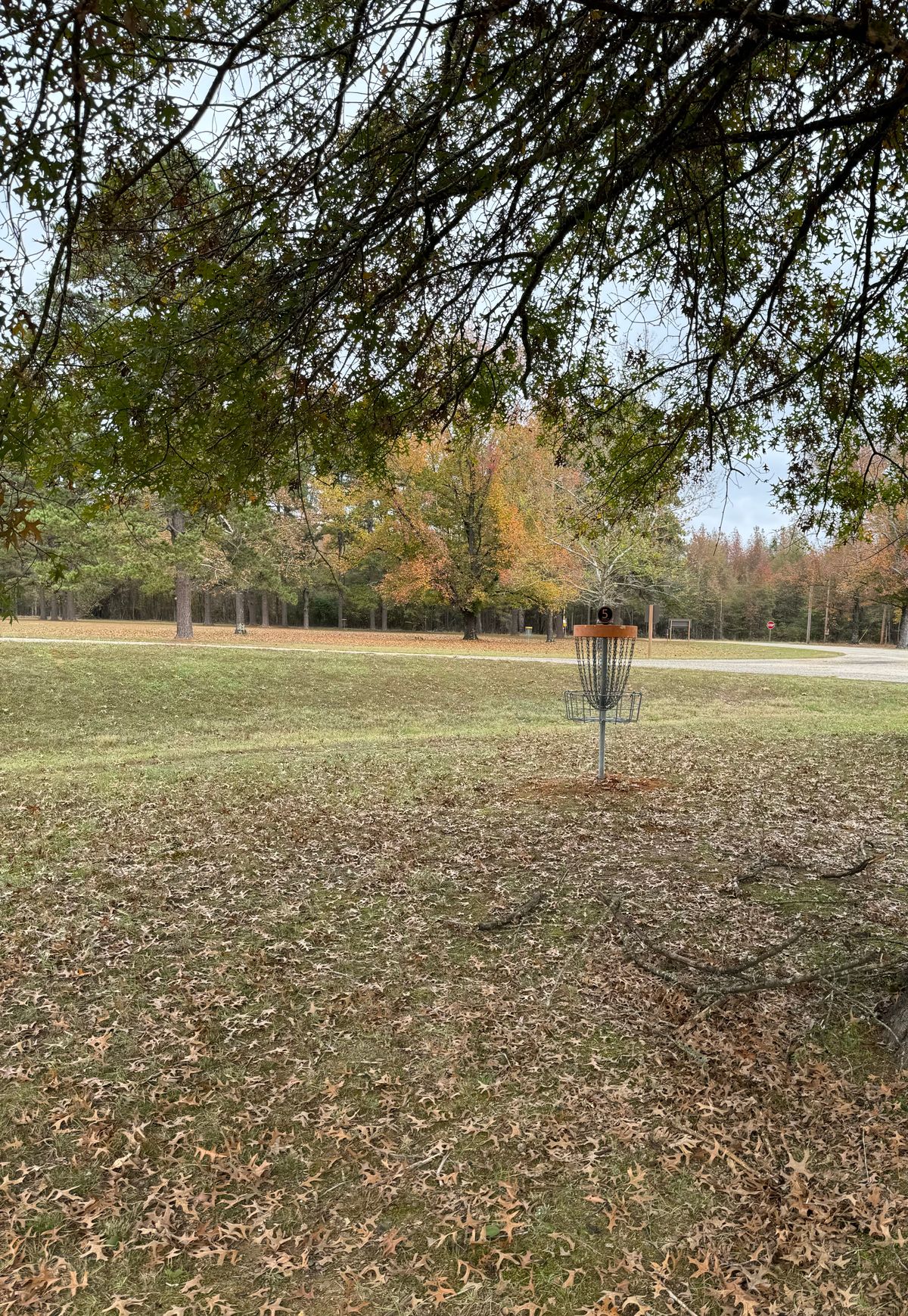 Hole 5 Short