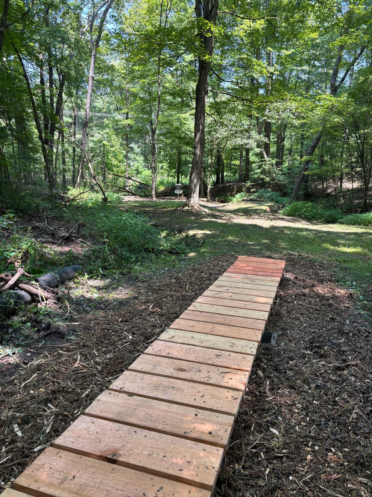 Boardwalk on hole 2 to avoid muddy area.