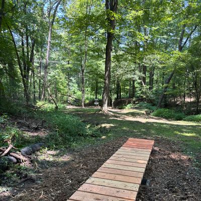 Boardwalk on hole 2 to avoid muddy area.