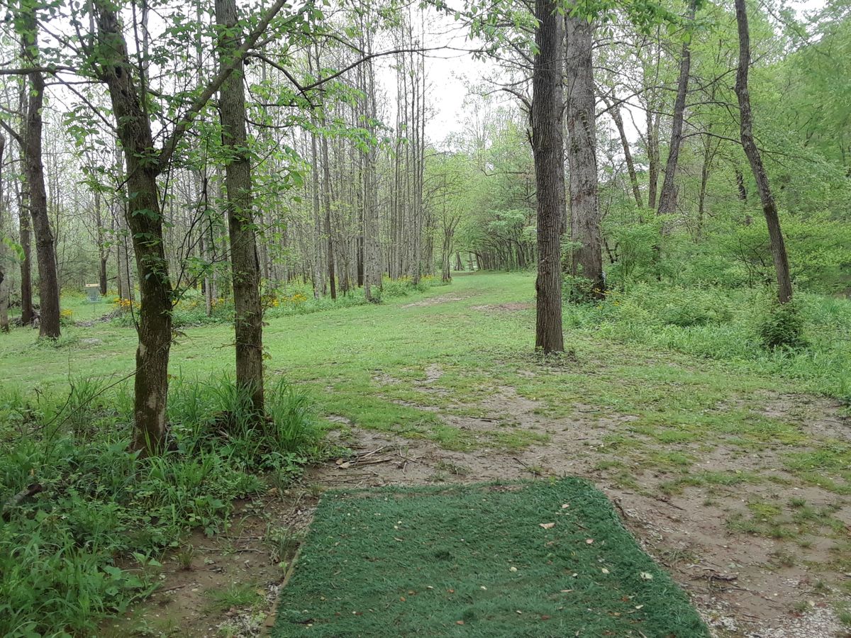 hole 15