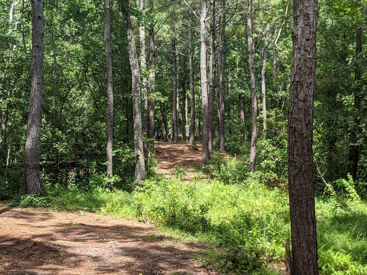 2nd part of dog-leg right on Hole 9